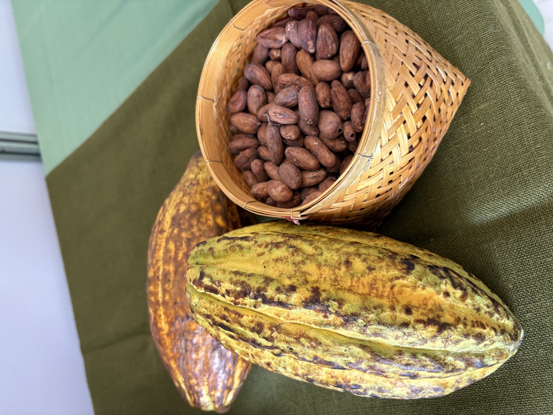 Cacao beans